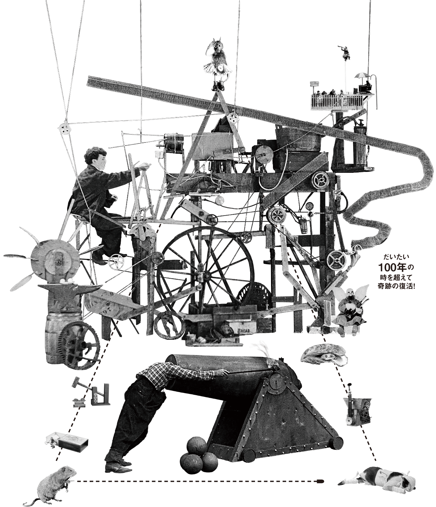 コレがいいのだっ！